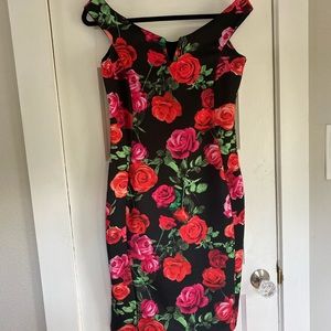 NWT Rose Print Pin Up Dress